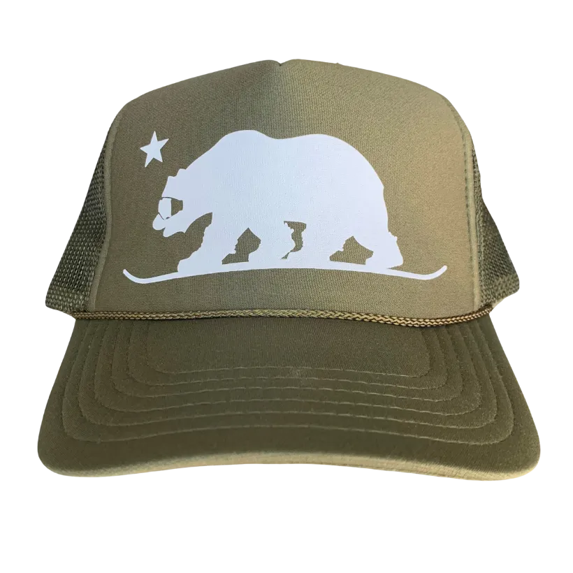 Snowboarding Bear